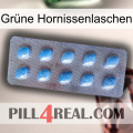 Grüne Hornissenlaschen viagra3